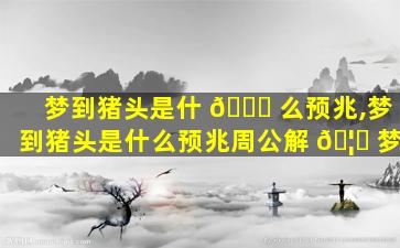 梦到猪头是什 🐎 么预兆,梦到猪头是什么预兆周公解 🦊 梦